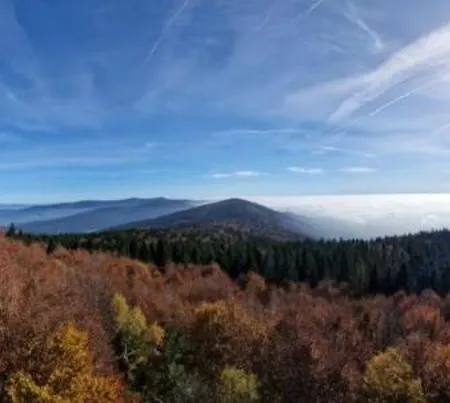 Gipfelfreund 2 * Sankt Englmar