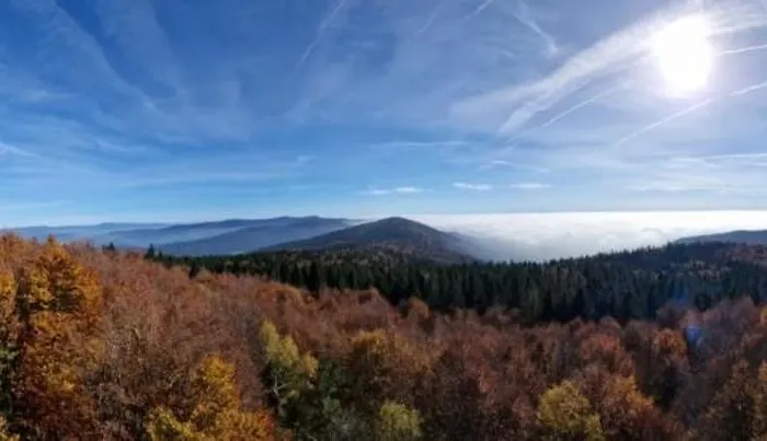 Gipfelfreund 2 * Sankt Englmar