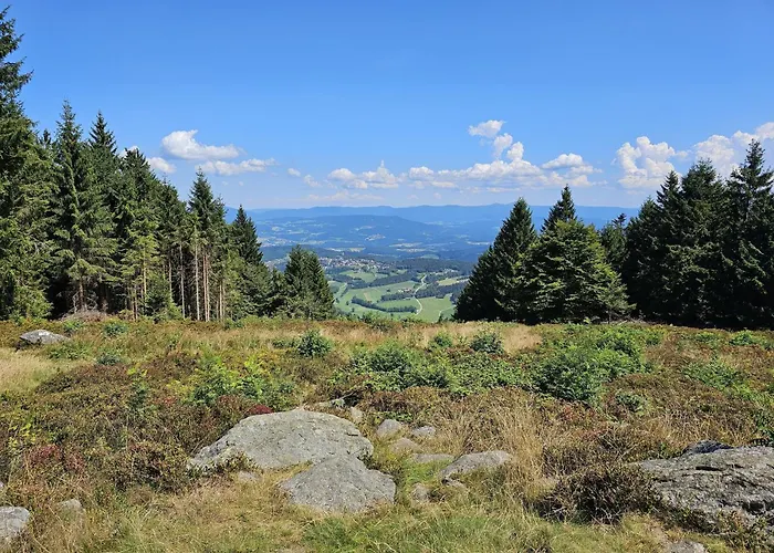Gipfelfreund 2 *